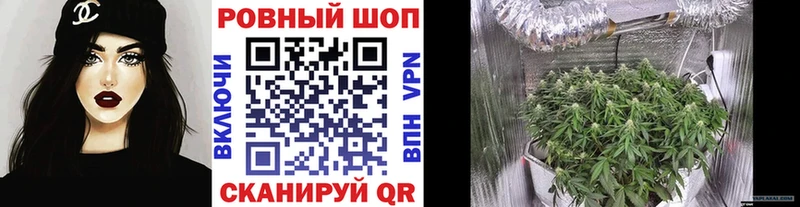 Наркошоп купить А ПВП МЕФ АМФ Cocaine Гашиш Кандалакша