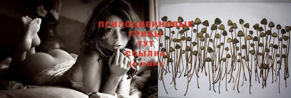прущий лед Михайловск